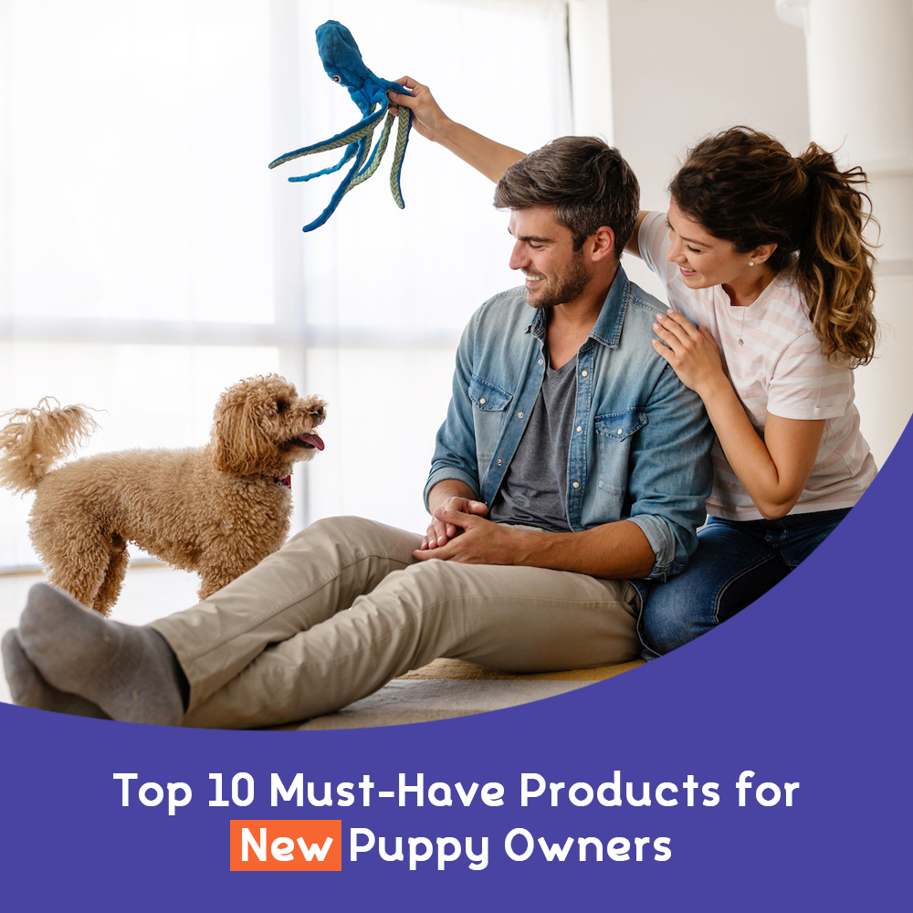 Top 10 MustHave Products for New Puppy Owners Online Pet Store, Shop