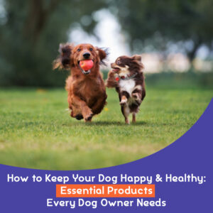 How to Keep Your Dog Happy and Healthy: Essential Products Every Dog Owner Needs