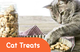 Cat Treats